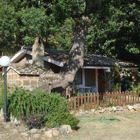Azienda Agricola Biologica La Cardellina Tolfa Dış mekan fotoğraf