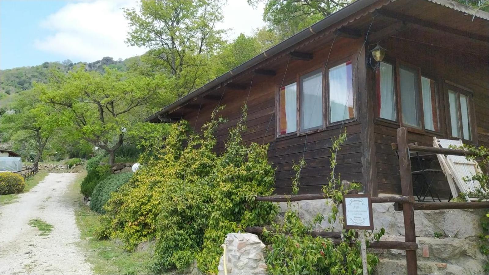 Azienda Agricola Biologica La Cardellina Tolfa Dış mekan fotoğraf