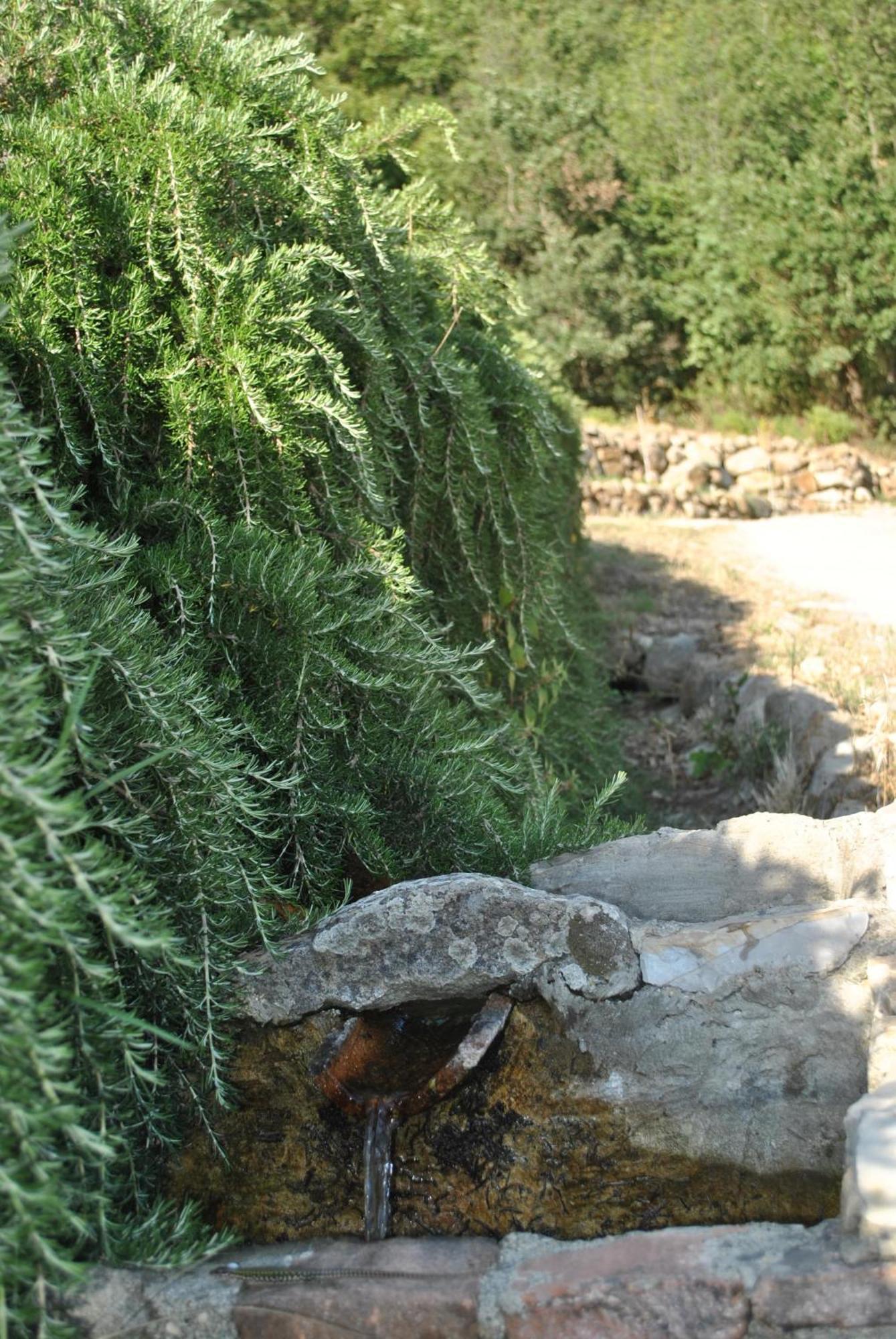 Azienda Agricola Biologica La Cardellina Tolfa Dış mekan fotoğraf