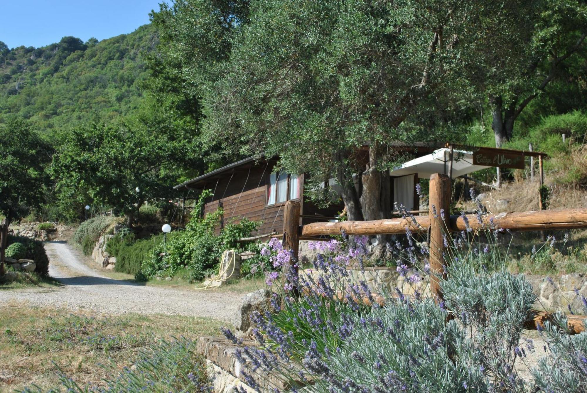 Azienda Agricola Biologica La Cardellina Tolfa Dış mekan fotoğraf