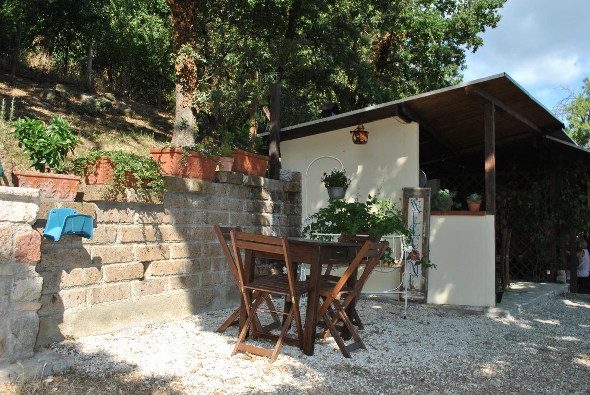 Azienda Agricola Biologica La Cardellina Tolfa Dış mekan fotoğraf