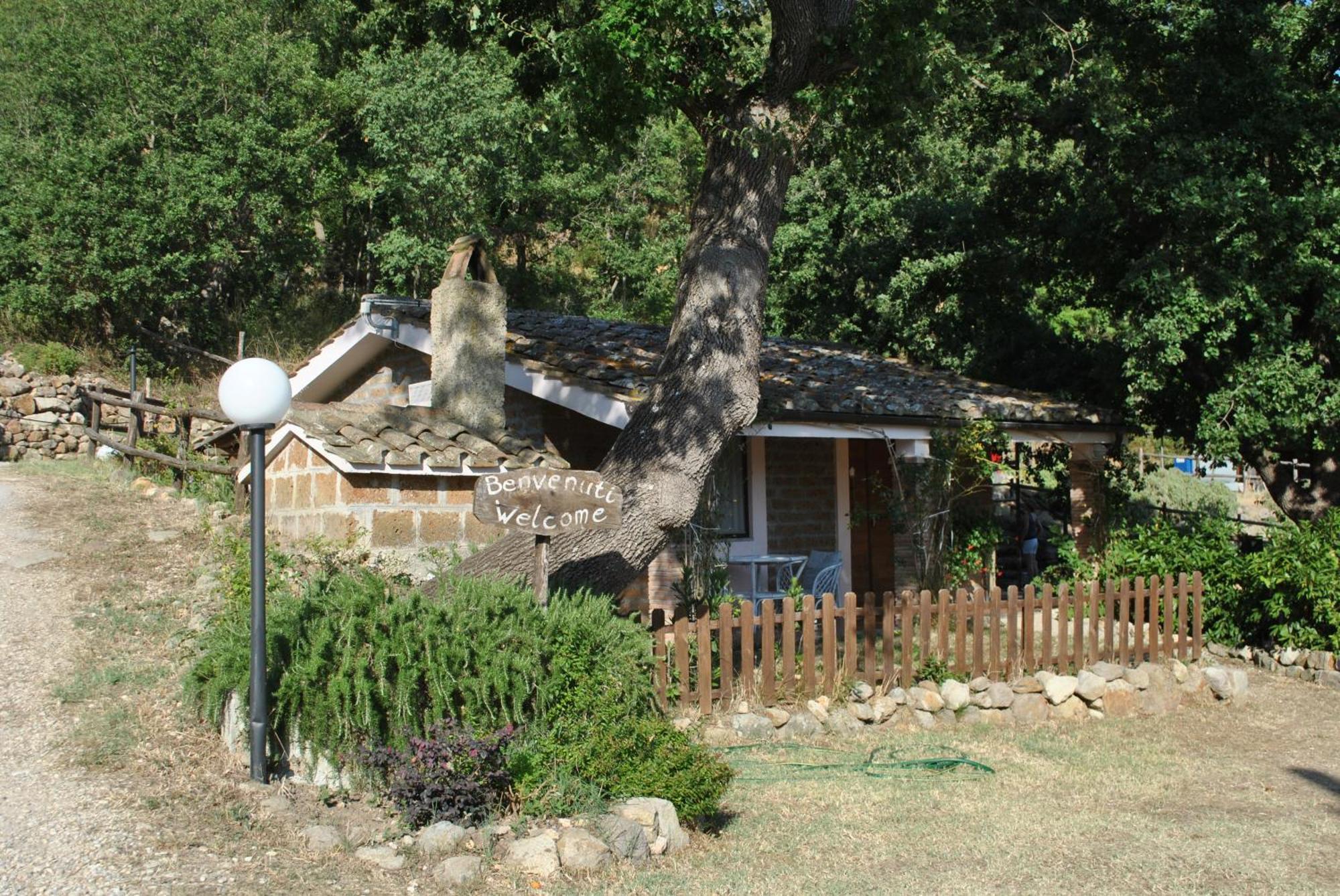Azienda Agricola Biologica La Cardellina Tolfa Dış mekan fotoğraf