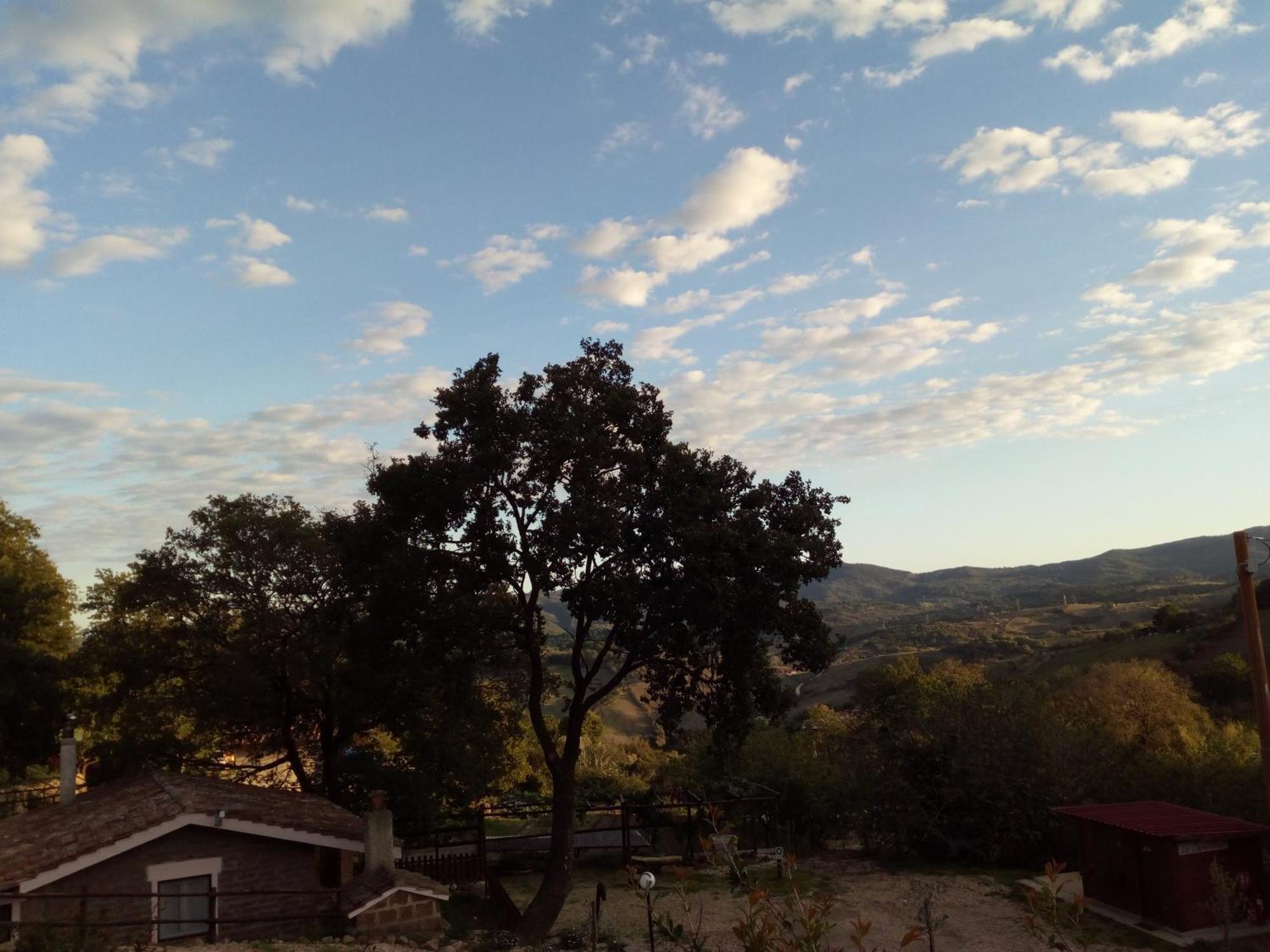 Azienda Agricola Biologica La Cardellina Tolfa Dış mekan fotoğraf