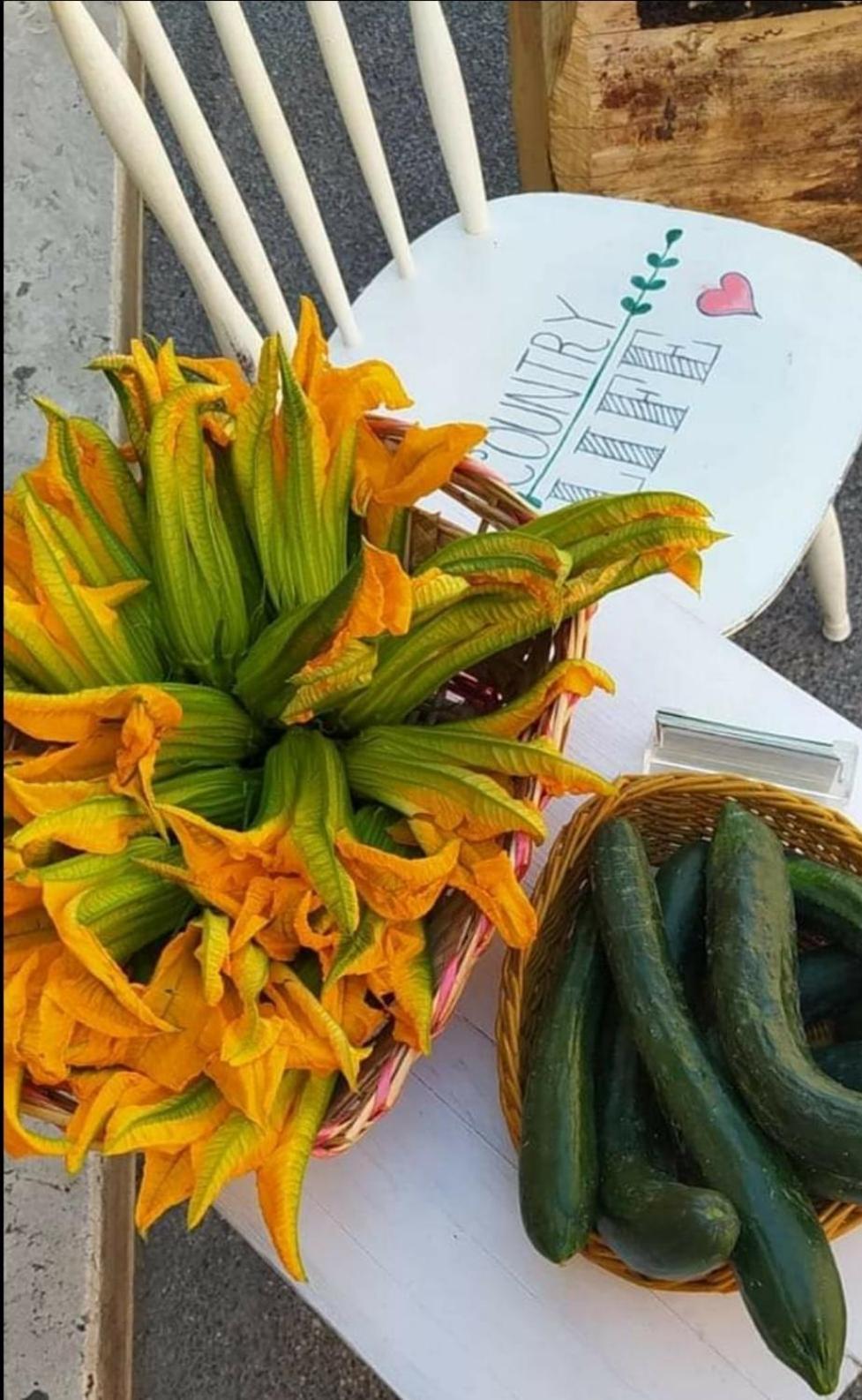 Azienda Agricola Biologica La Cardellina Tolfa Dış mekan fotoğraf