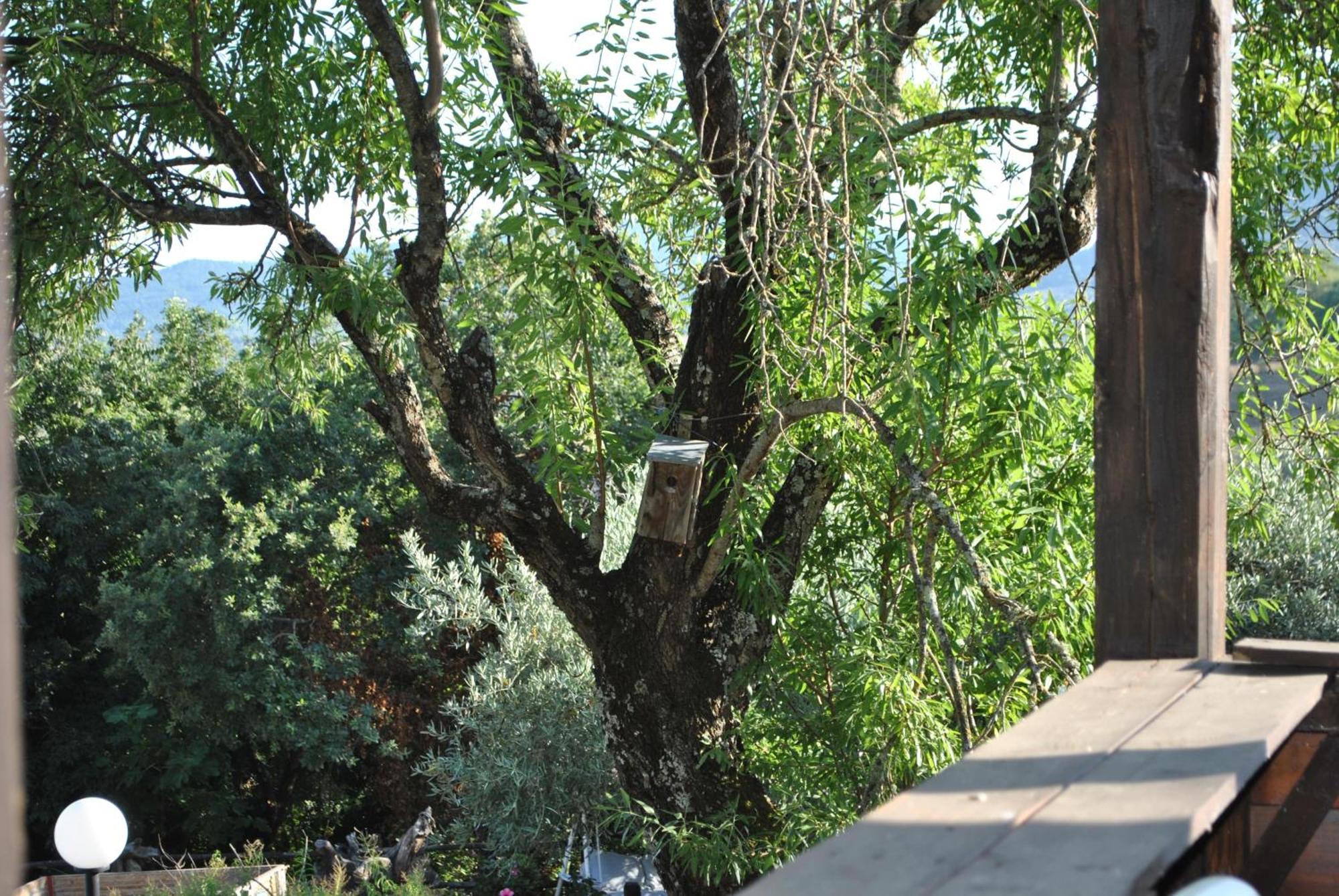Azienda Agricola Biologica La Cardellina Tolfa Dış mekan fotoğraf