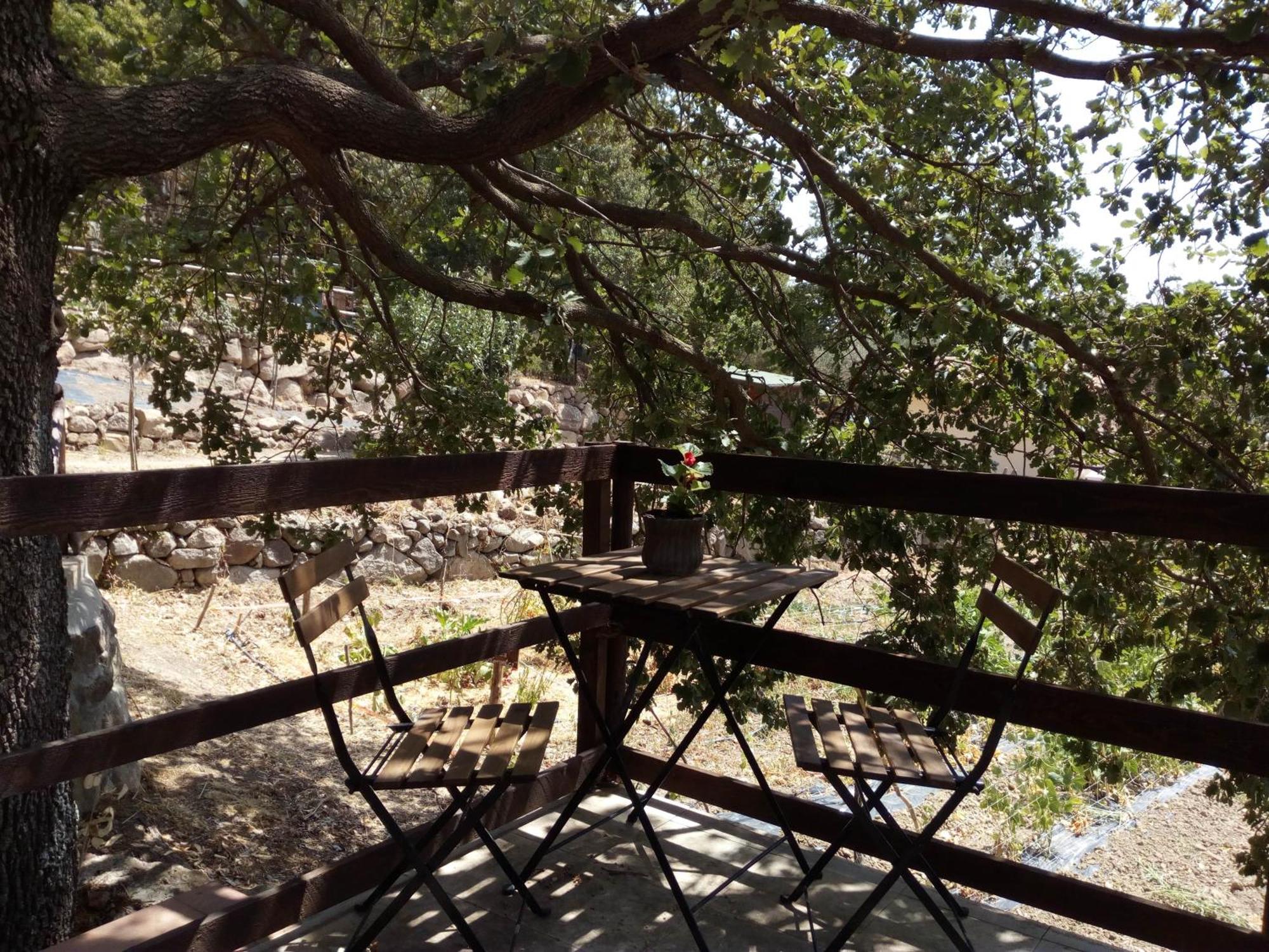 Azienda Agricola Biologica La Cardellina Tolfa Dış mekan fotoğraf