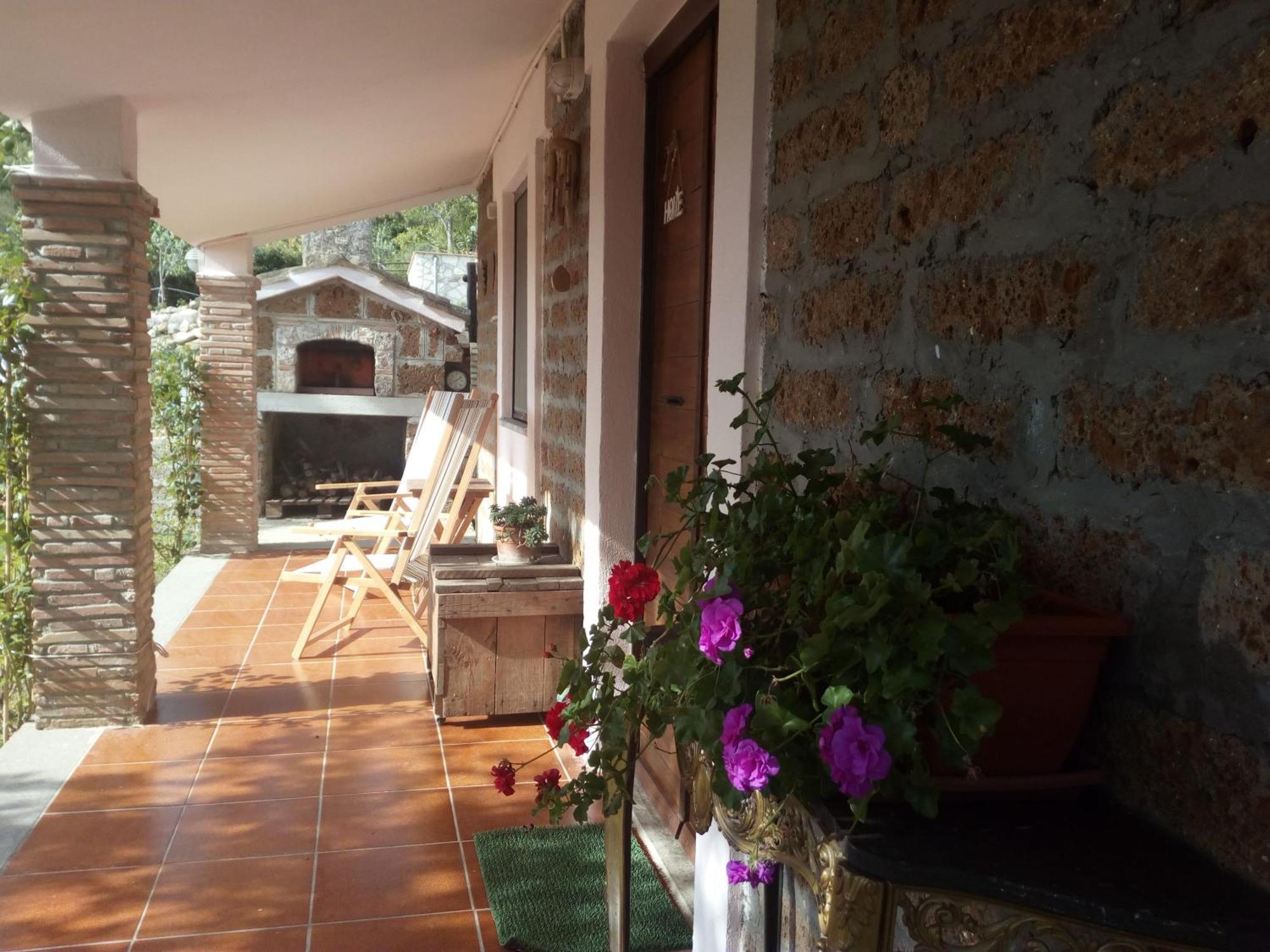 Azienda Agricola Biologica La Cardellina Tolfa Dış mekan fotoğraf