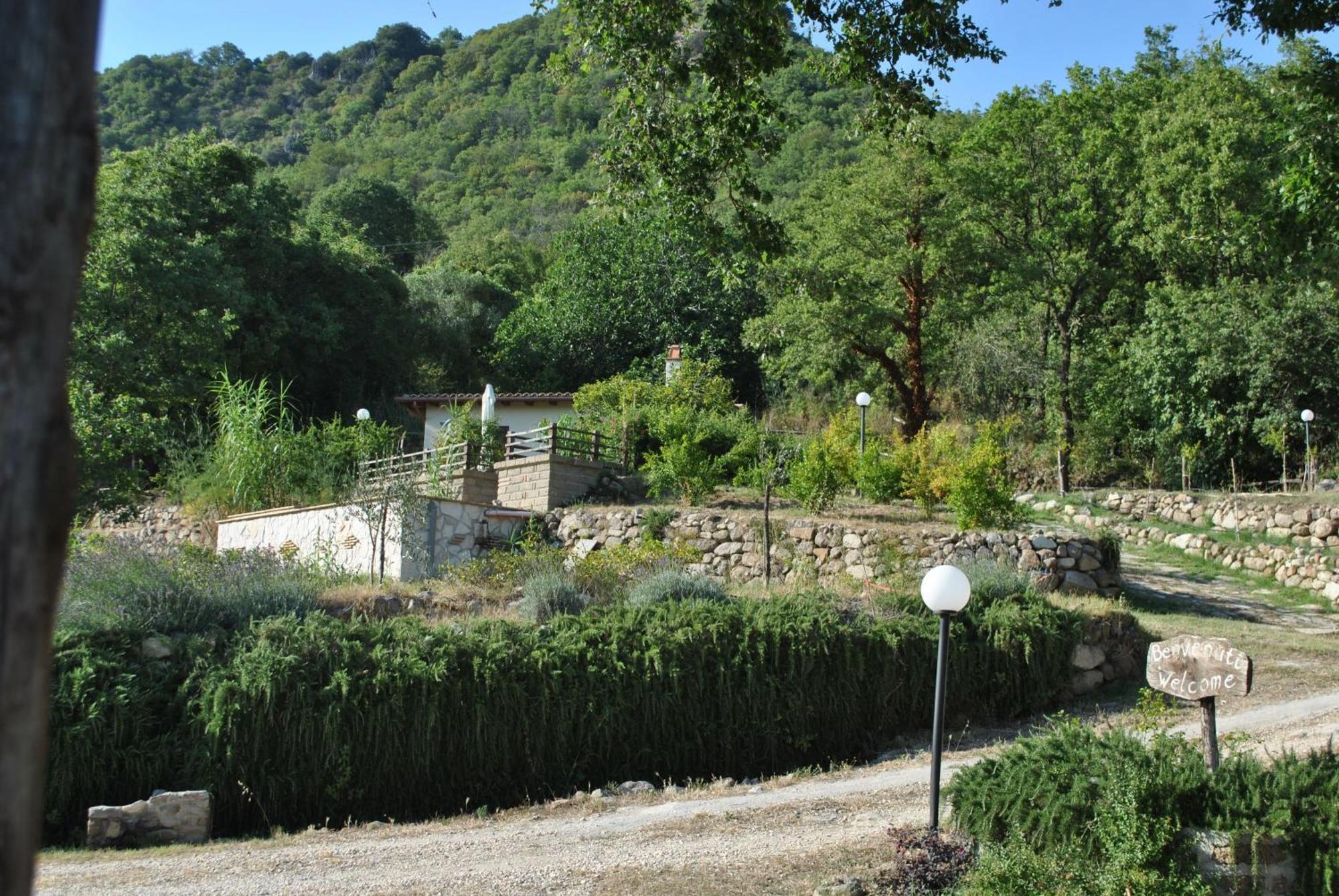 Azienda Agricola Biologica La Cardellina Tolfa Dış mekan fotoğraf