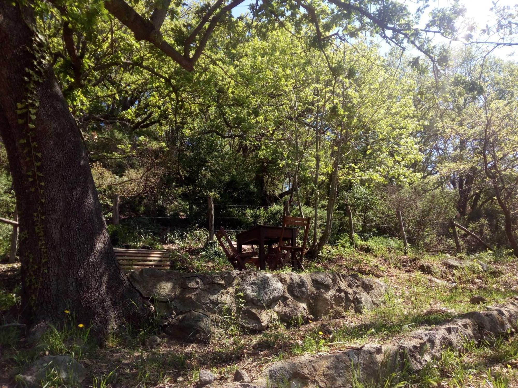Azienda Agricola Biologica La Cardellina Tolfa Dış mekan fotoğraf