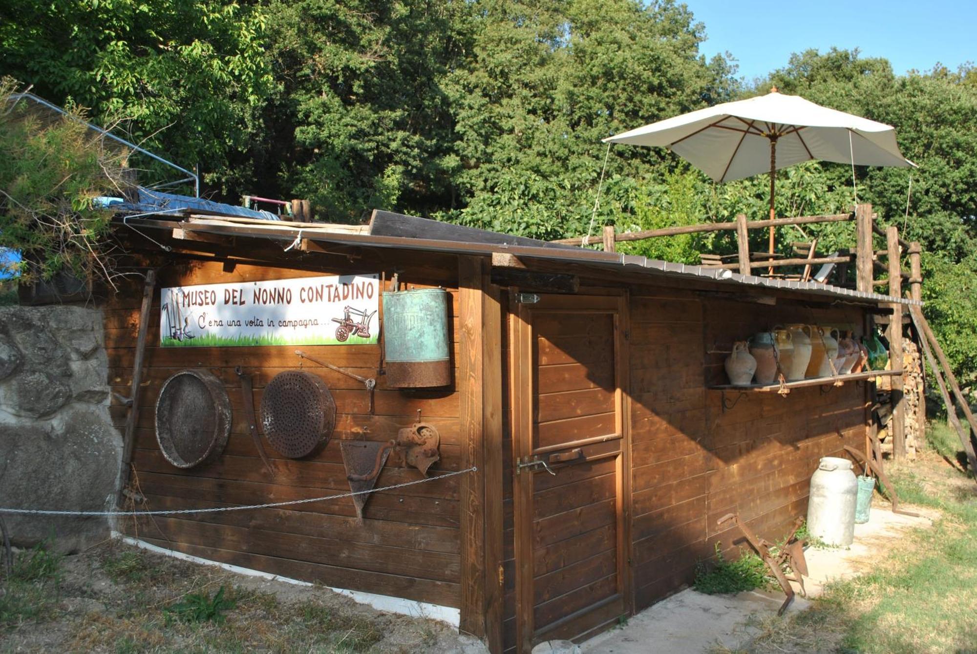 Azienda Agricola Biologica La Cardellina Tolfa Dış mekan fotoğraf