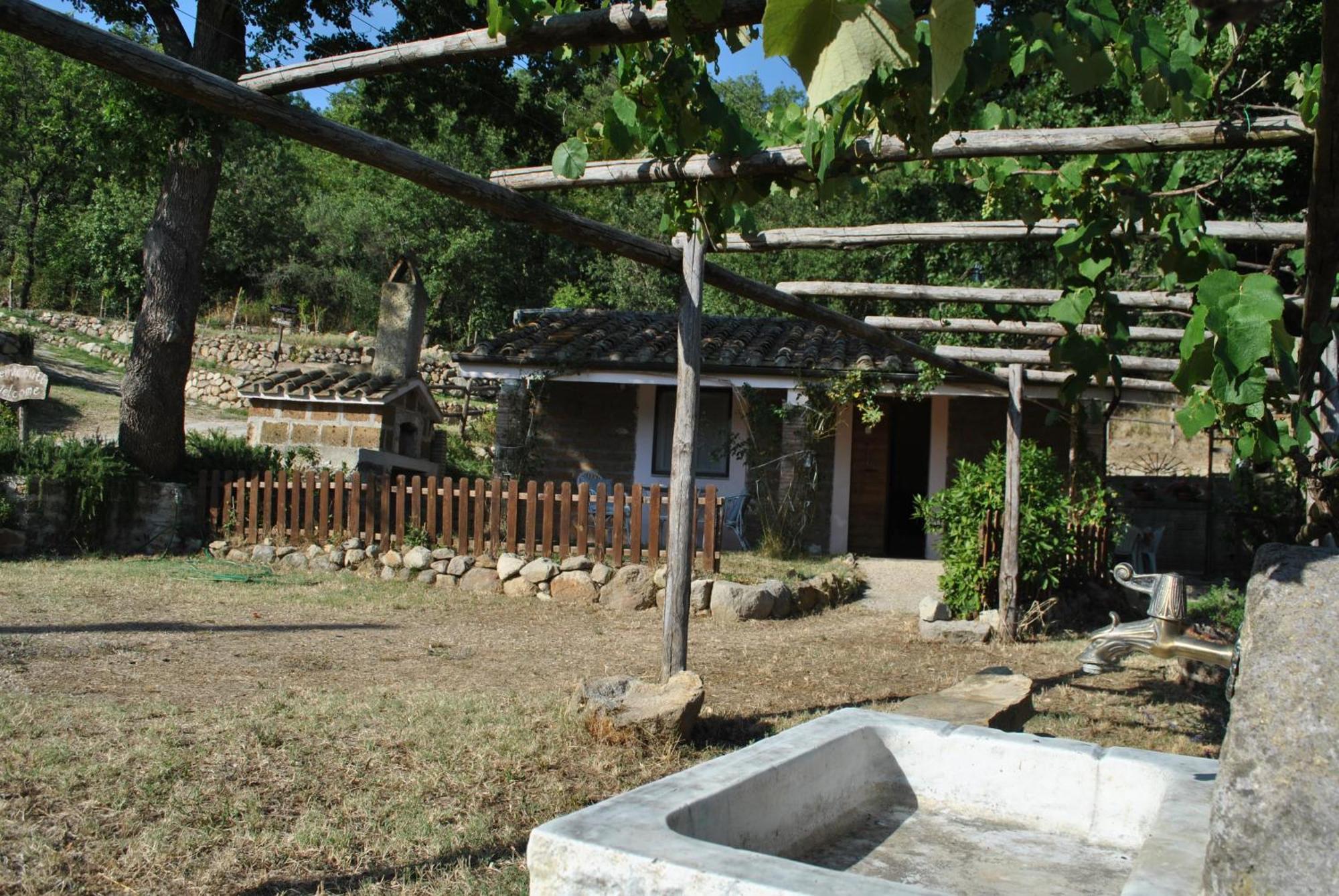 Azienda Agricola Biologica La Cardellina Tolfa Dış mekan fotoğraf