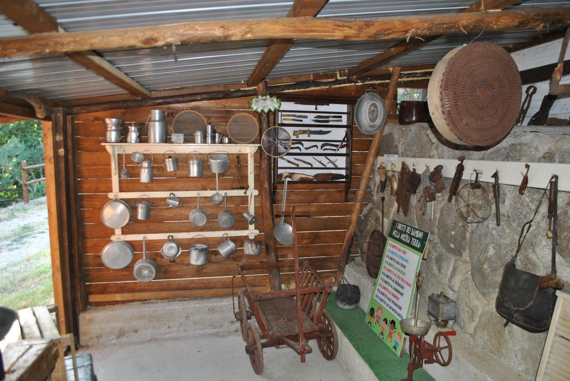 Azienda Agricola Biologica La Cardellina Tolfa Dış mekan fotoğraf