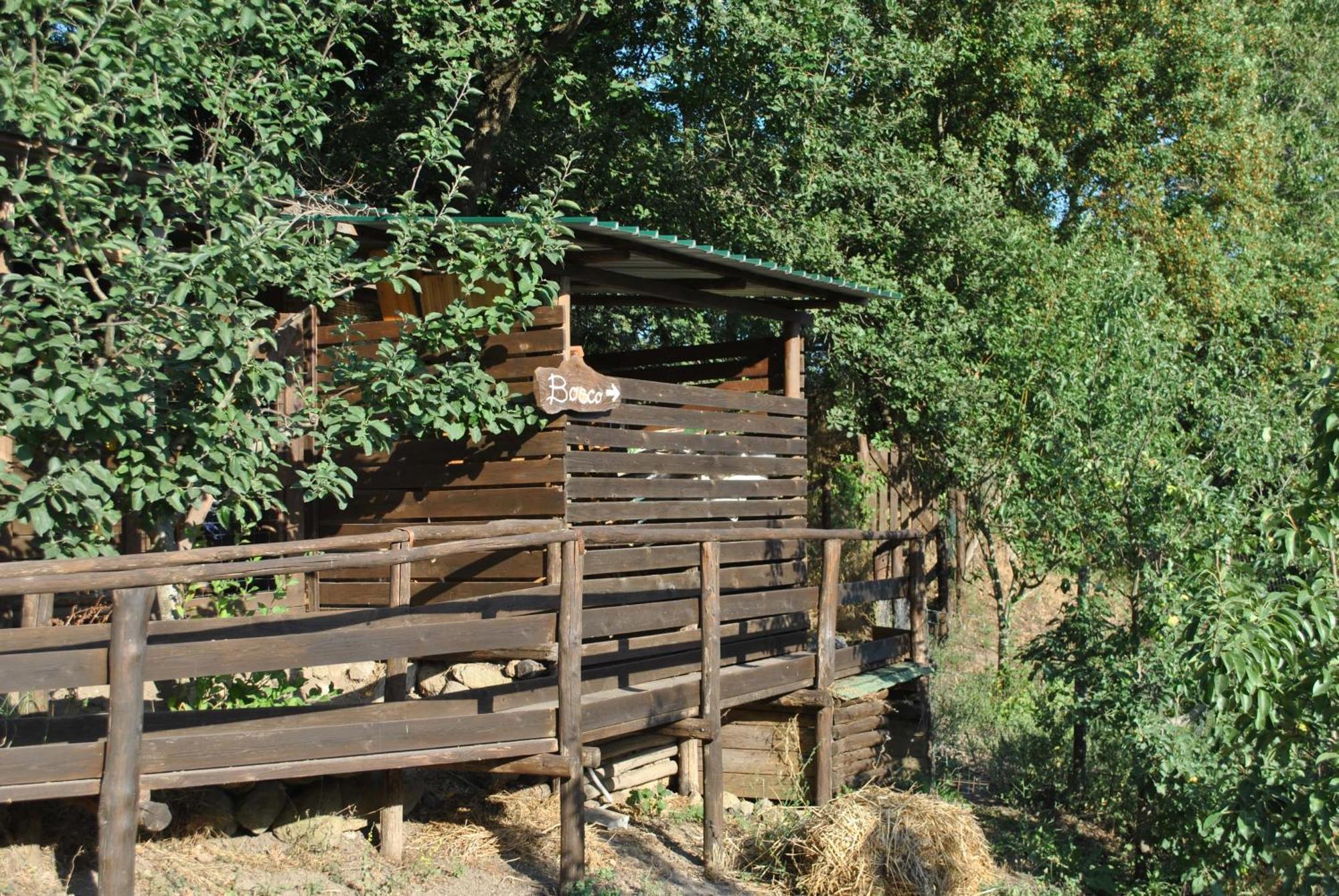 Azienda Agricola Biologica La Cardellina Tolfa Dış mekan fotoğraf