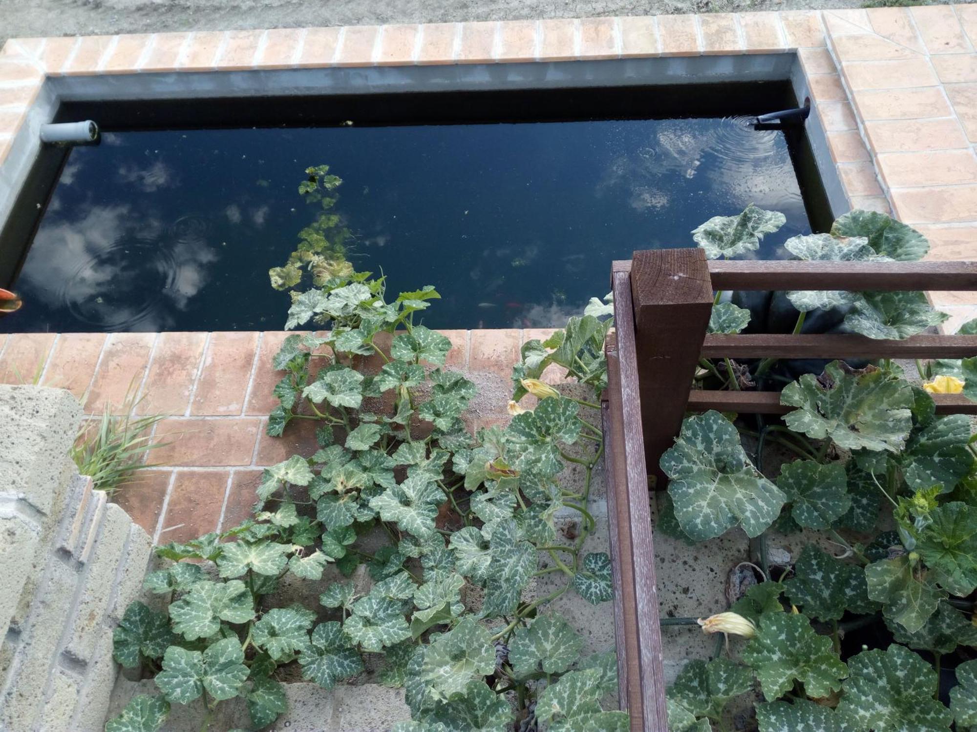 Azienda Agricola Biologica La Cardellina Tolfa Dış mekan fotoğraf
