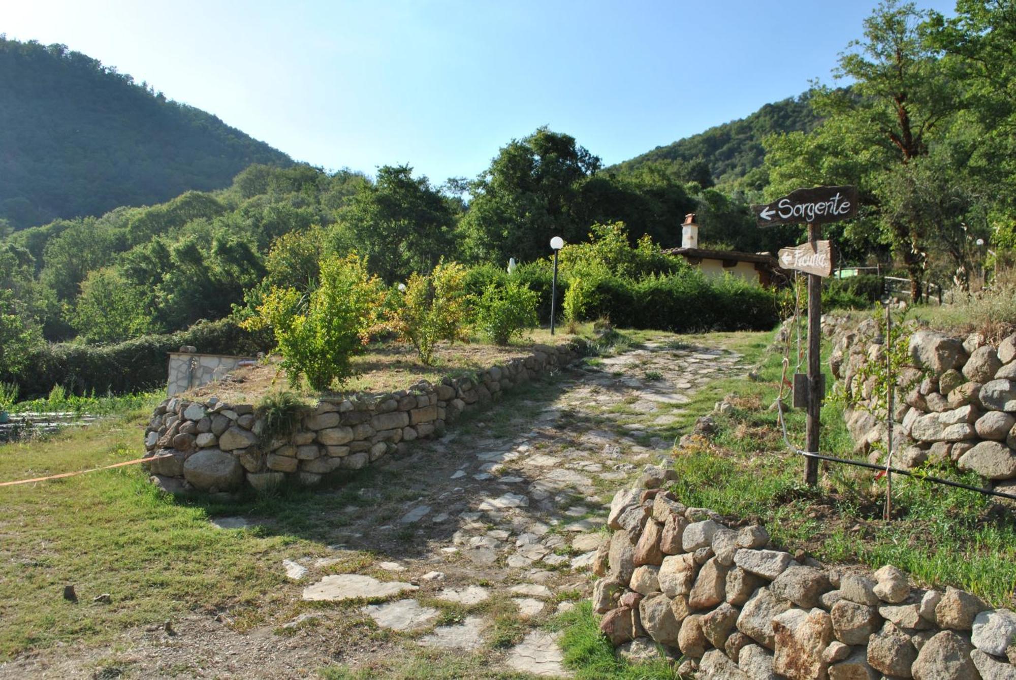 Azienda Agricola Biologica La Cardellina Tolfa Dış mekan fotoğraf